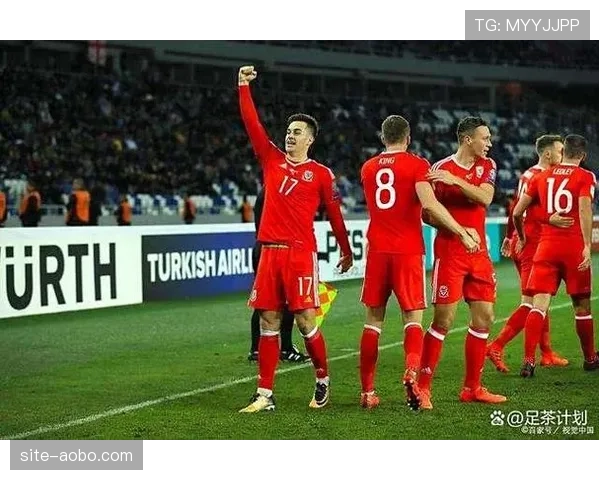 保加利亚主场2-1击败格鲁吉亚 预选赛收官战取得胜利